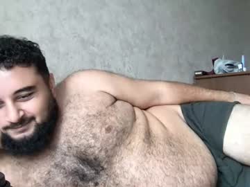 _alan_bear_