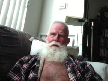 beardbushy