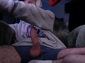 digbicknik