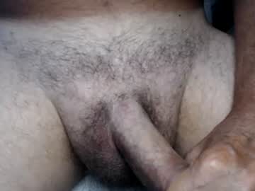 el_gato_lusty
