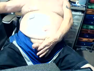 fatfreddythecat
