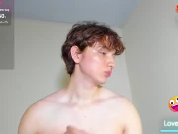 fox_prince_