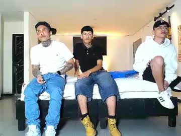 gnecos