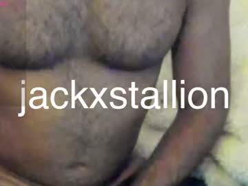 jackxstallion