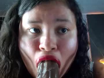 kellyshibary