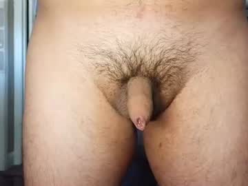 mateo_sp