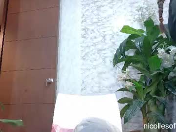 nicolle4