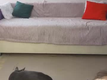 prettyyy_kitty