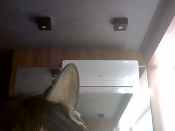 skinnykittencam