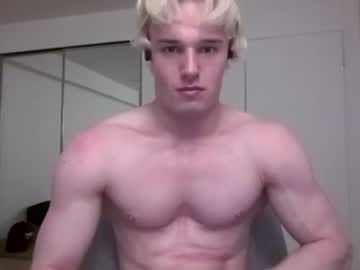 thelevimeyers