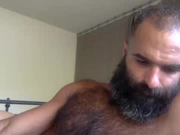 woof_wolf37